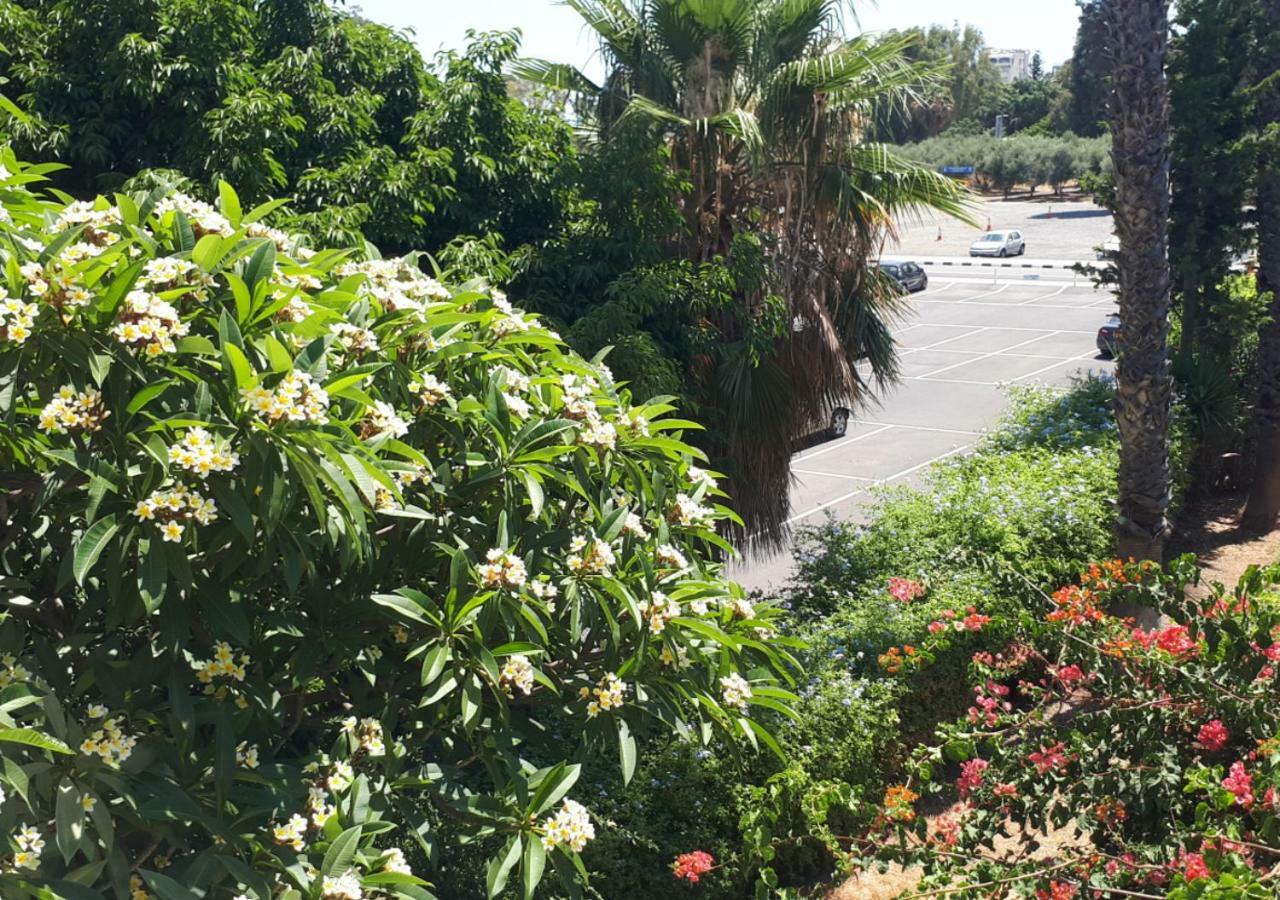 Sunny Family Home By The Beach ليماسول المظهر الخارجي الصورة